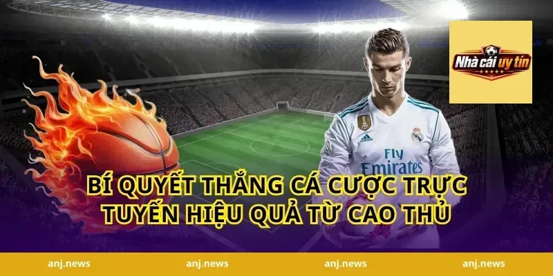 Bí quyết thắng cá cược trực tuyến hiệu quả từ cao thủ