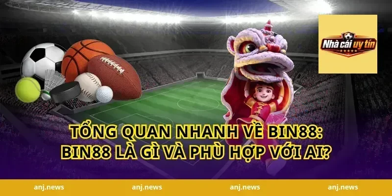 Tổng quan nhanh về Bin88: Bin88 là gì và phù hợp với ai?