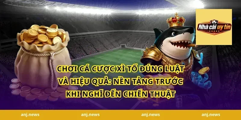 Chơi cá cược xì tố đúng luật và hiệu quả: nền tảng trước khi nghĩ đến chiến thuật