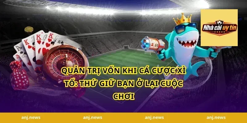 Quản trị vốn khi cá cược xì tố: thứ giữ bạn ở lại cuộc chơi