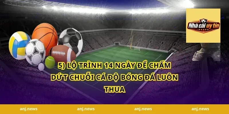 5) Lộ trình 14 ngày để chấm dứt chuỗi cá độ bóng đá luôn thua