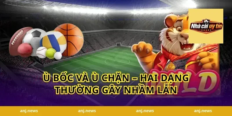 Ù Bốc Và Ù Chặn – Hai Dạng Thường Gây Nhầm Lẫn