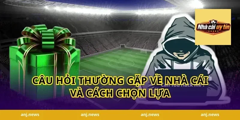 Câu Hỏi Thường Gặp Về Nhà Cái Và Cách Chọn Lựa