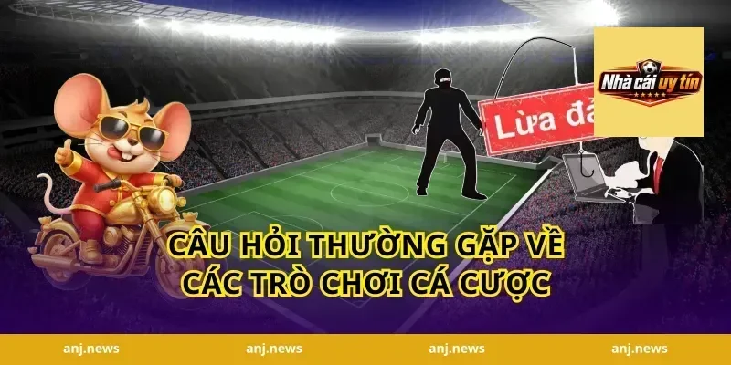 Câu Hỏi Thường Gặp Về Các Trò Chơi Cá Cược