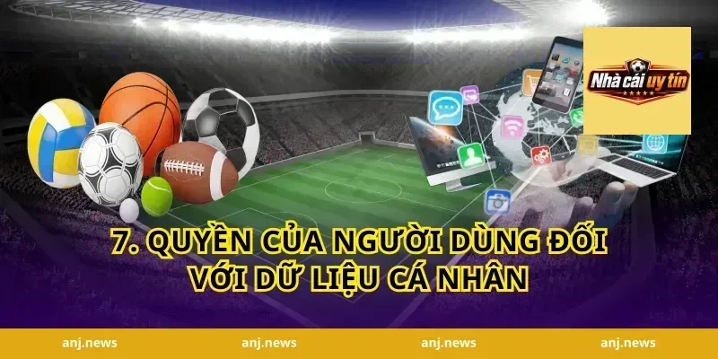 7. Quyền Của Người Dùng Đối Với Dữ Liệu Cá Nhân