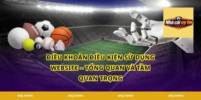 Điều Khoản Điều Kiện Sử Dụng Website – Tổng Quan và Tầm Quan Trọng