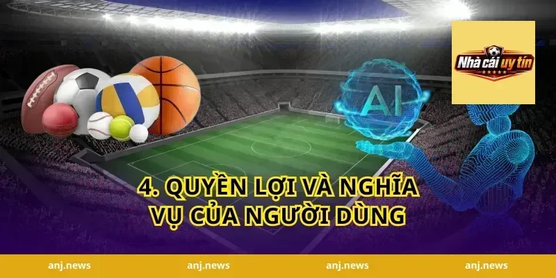 4. Quyền Lợi và Nghĩa Vụ Của Người Dùng