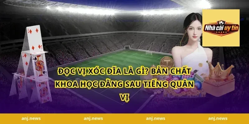 Đọc Vị Xóc Đĩa Là Gì? Bản Chất Khoa Học Đằng Sau Tiếng Quân Vị