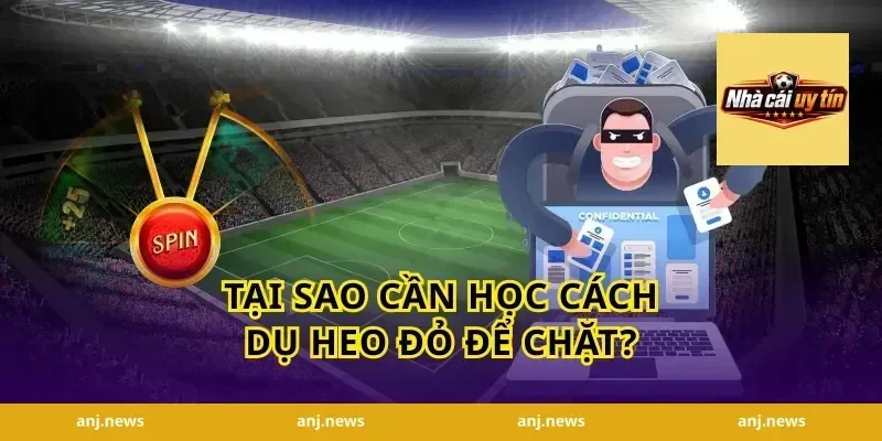 Tại sao cần học cách dụ heo đỏ để chặt?