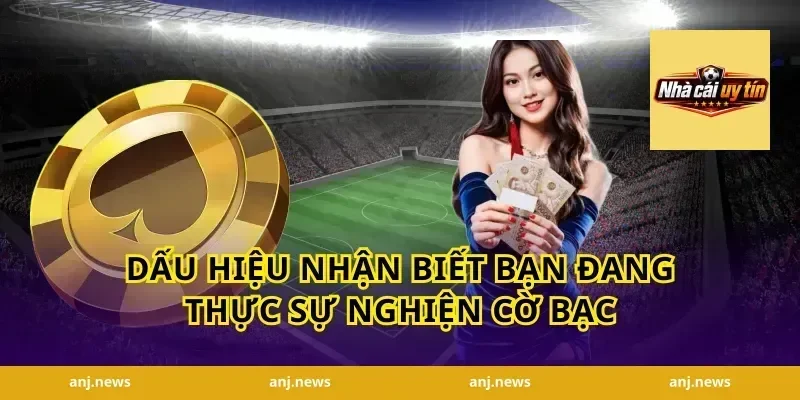 Dấu Hiệu Nhận Biết Bạn Đang Thực Sự Nghiện Cờ Bạc