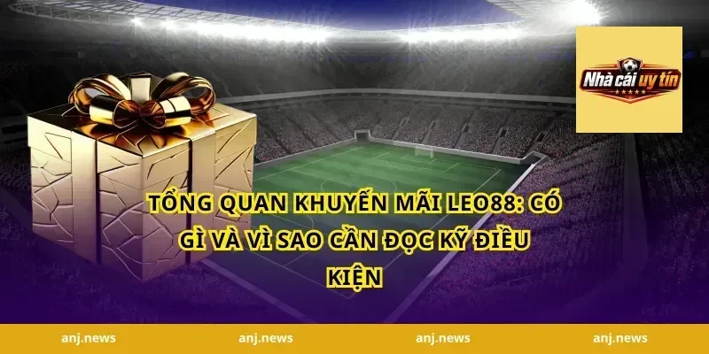 Tổng quan khuyến mãi Leo88: Có gì và vì sao cần đọc kỹ điều kiện