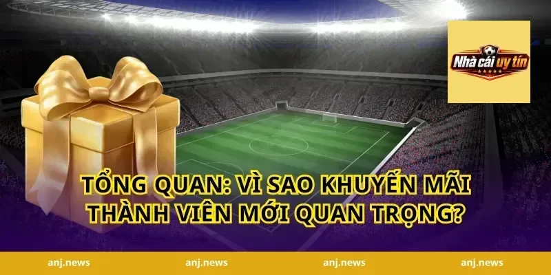 Tổng quan: Vì sao khuyến mãi thành viên mới quan trọng?