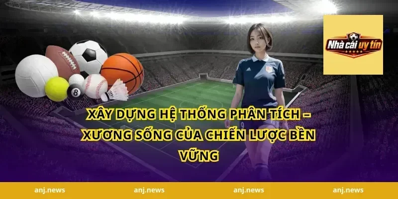 Xây Dựng Hệ Thống Phân Tích – Xương Sống Của Chiến Lược Bền Vững