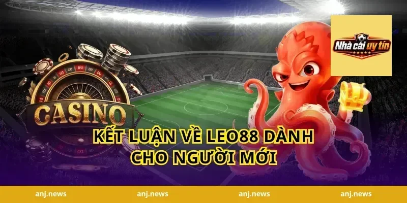 Kết luận về Leo88 dành cho người mới