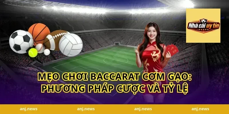 mẹo chơi baccarat cơm gạo: Phương pháp cược và tỷ lệ