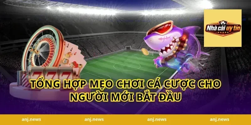 Tổng Hợp Mẹo Chơi Cá Cược Cho Người Mới Bắt Đầu