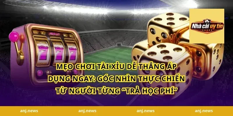 Mẹo Chơi Tài Xỉu Dễ Thắng Áp Dụng Ngay: Góc nhìn thực chiến từ người từng “trả học phí”