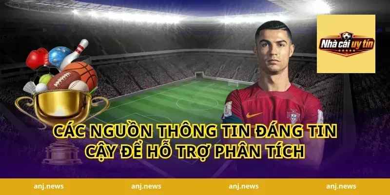 Các Nguồn Thông Tin Đáng Tin Cậy Để Hỗ Trợ Phân Tích