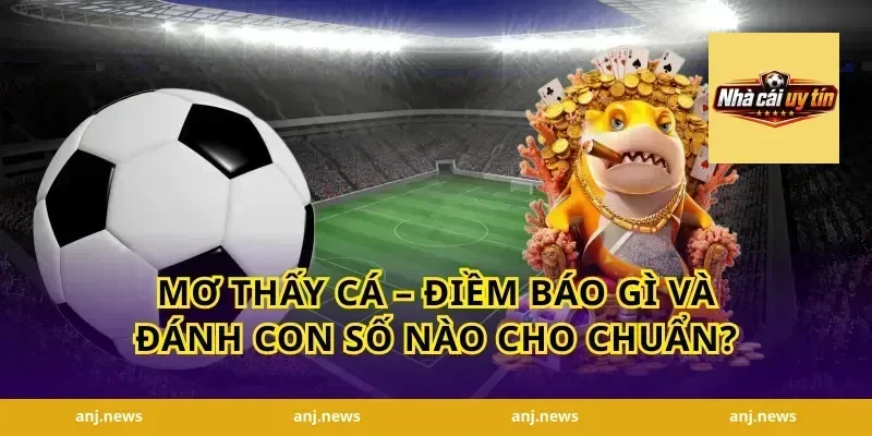 Mơ Thấy Cá – Điềm Báo Gì Và Đánh Con Số Nào Cho Chuẩn?