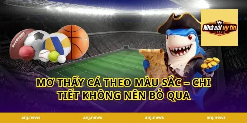 Mơ Thấy Cá Theo Màu Sắc – Chi Tiết Không Nên Bỏ Qua