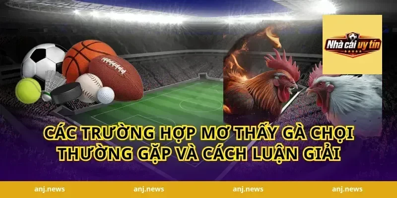 Các trường hợp mơ thấy gà chọi thường gặp và cách luận giải