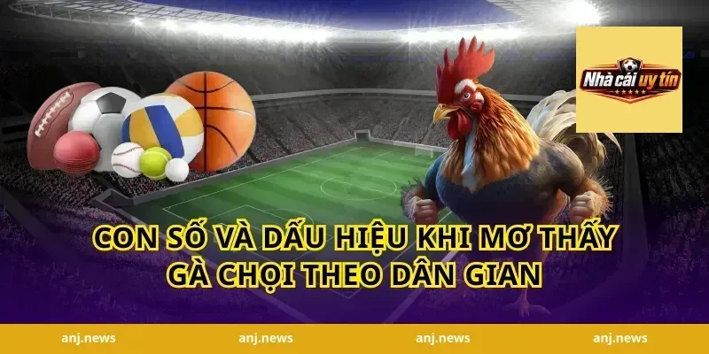 Con số và dấu hiệu khi mơ thấy gà chọi theo dân gian