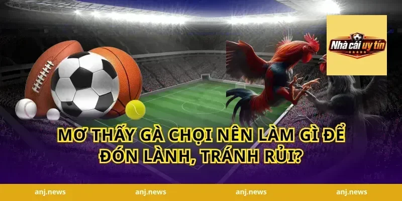 mơ thấy gà chọi nên làm gì để đón lành, tránh rủi?