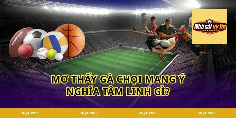 mơ thấy gà chọi mang ý nghĩa tâm linh gì?
