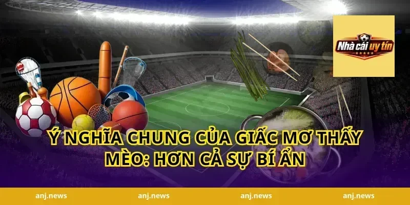 Ý Nghĩa Chung Của Giấc Mơ Thấy Mèo: Hơn Cả Sự Bí Ẩn
