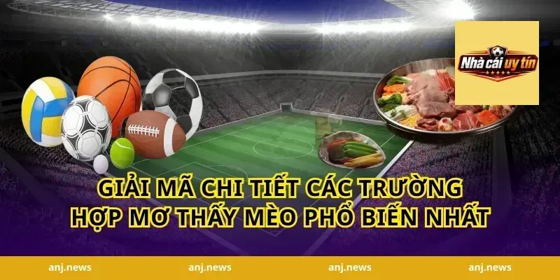 Giải Mã Chi Tiết Các Trường Hợp Mơ Thấy Mèo Phổ Biến Nhất