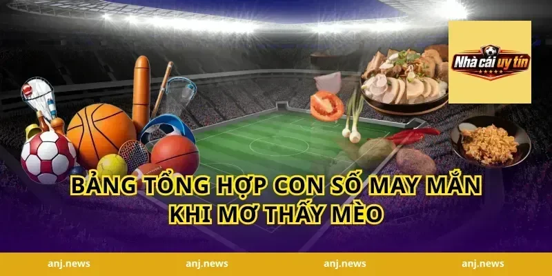 Bảng Tổng Hợp Con Số May Mắn Khi Mơ Thấy Mèo