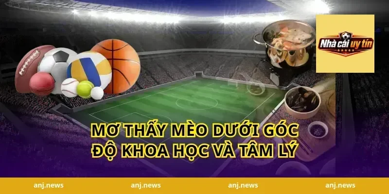 Mơ Thấy Mèo Dưới Góc Độ Khoa Học Và Tâm Lý