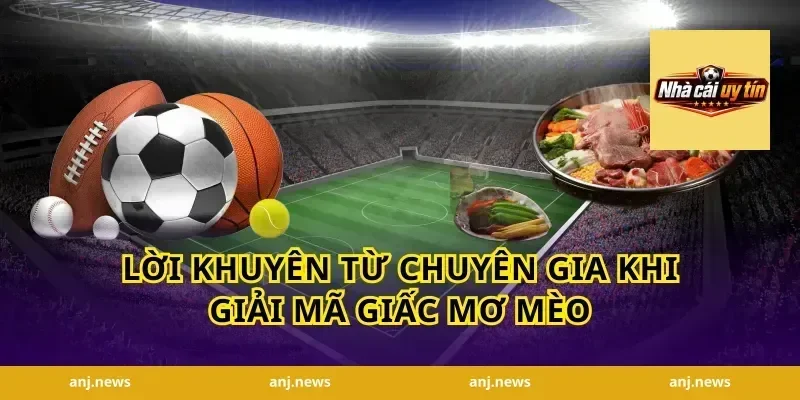 Lời Khuyên Từ Chuyên Gia Khi Giải Mã Giấc Mơ Mèo
