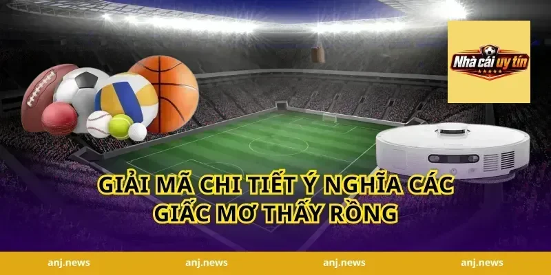 Giải Mã Chi Tiết Ý Nghĩa Các Giấc Mơ Thấy Rồng