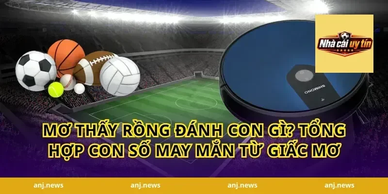 Mơ Thấy Rồng Đánh Con Gì? Tổng Hợp Con Số May Mắn Từ Giấc Mơ