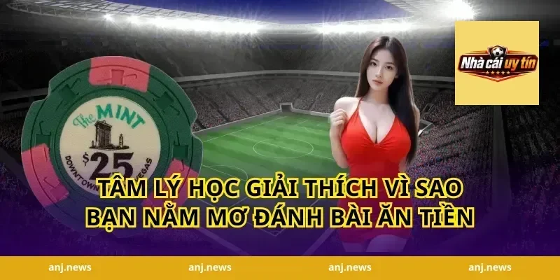 Tâm Lý Học Giải Thích Vì Sao Bạn Nằm Mơ Đánh Bài Ăn Tiền