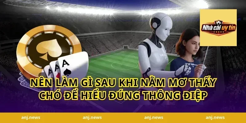 Nên làm gì sau khi nằm mơ thấy chó để hiểu đúng thông điệp