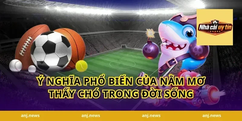 Ý nghĩa phổ biến của nằm mơ thấy chó trong đời sống