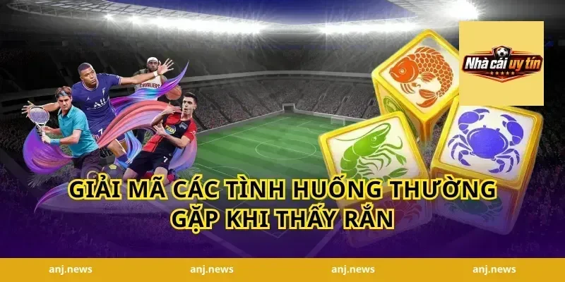 Giải Mã Các Tình Huống Thường Gặp Khi Thấy Rắn