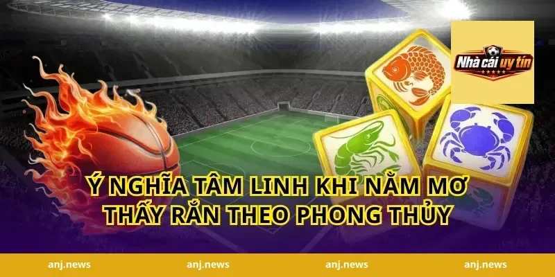 Ý Nghĩa Tâm Linh Khi Nằm Mơ Thấy Rắn Theo Phong Thủy