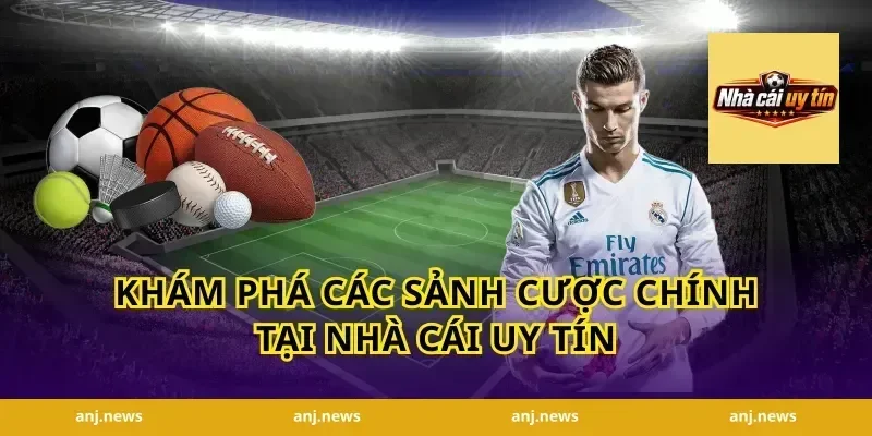 Khám phá các sảnh cược chính tại nhà cái uy tín