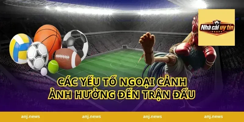 Các Yếu Tố Ngoại Cảnh Ảnh Hưởng Đến Trận Đấu