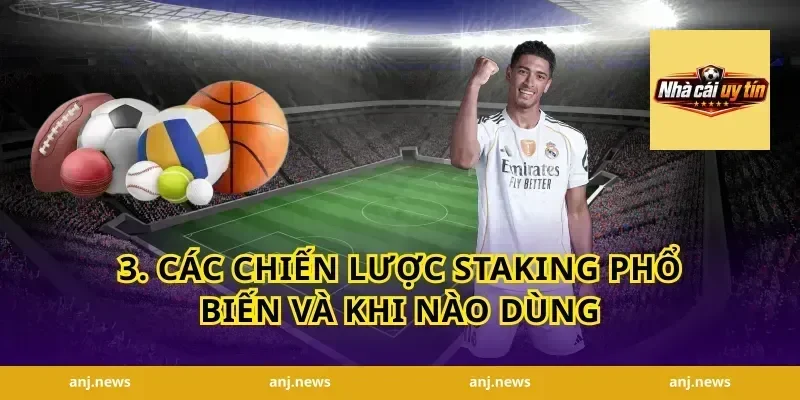 3. Các chiến lược staking phổ biến và khi nào dùng