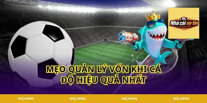 Mẹo Quản Lý Vốn Khi Cá Độ Hiệu Quả Nhất