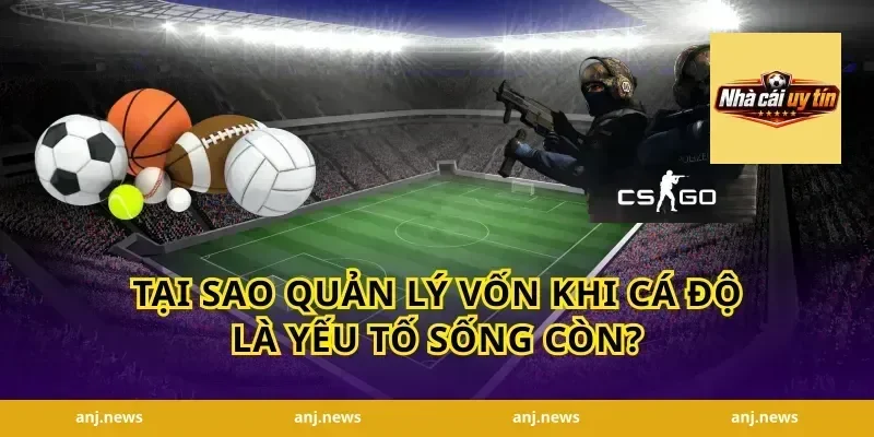 Tại Sao Quản Lý Vốn Khi Cá Độ Là Yếu Tố Sống Còn?
