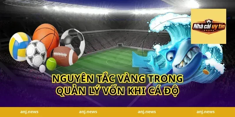 Nguyên Tắc Vàng Trong Quản Lý Vốn Khi Cá Độ