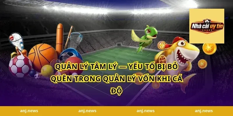 Quản Lý Tâm Lý — Yếu Tố Bị Bỏ Quên Trong Quản Lý Vốn Khi Cá Độ