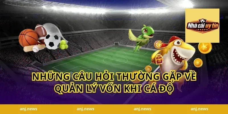 Những Câu Hỏi Thường Gặp Về Quản Lý Vốn Khi Cá Độ