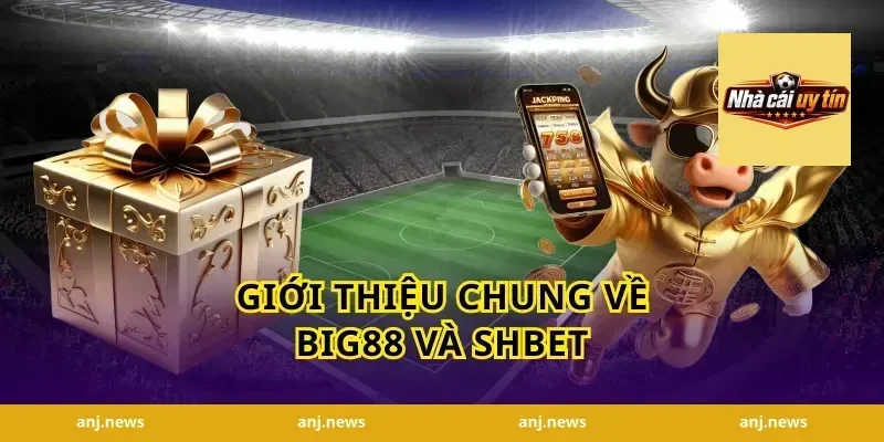 Giới Thiệu Chung Về Big88 Và Shbet