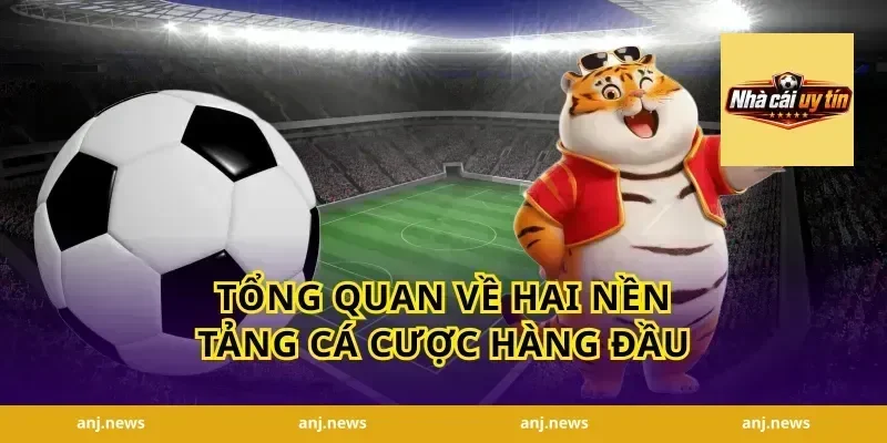 Tổng Quan Về Hai Nền Tảng Cá Cược Hàng Đầu